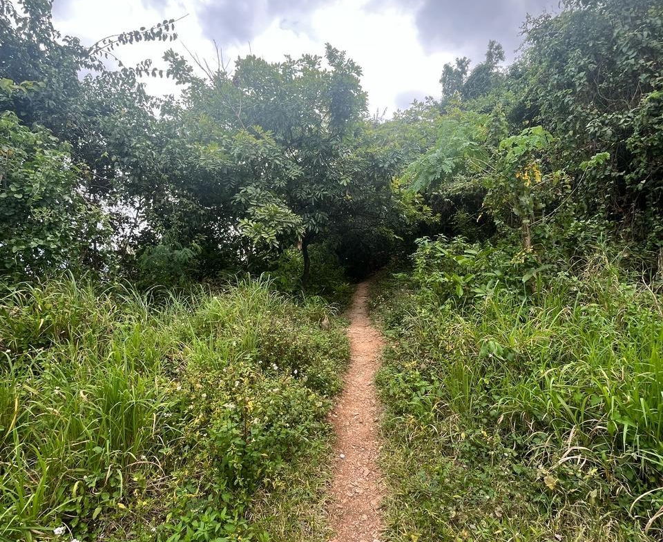 First image of 189- st Michael Terrace in Red Hills, St. Andrew, Jamaica - property is For Sale