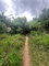 First image of 189- st Michael Terrace in Red Hills, St. Andrew, Jamaica - property is For Sale