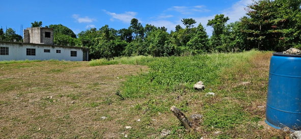 Eleventh image of 25 h Spring Hill Drive Beverle in Beverley, St. Ann, Jamaica - property is For Sale