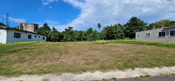 Ninth image of 25 h Spring Hill Drive Beverle in Beverley, St. Ann, Jamaica - property is For Sale