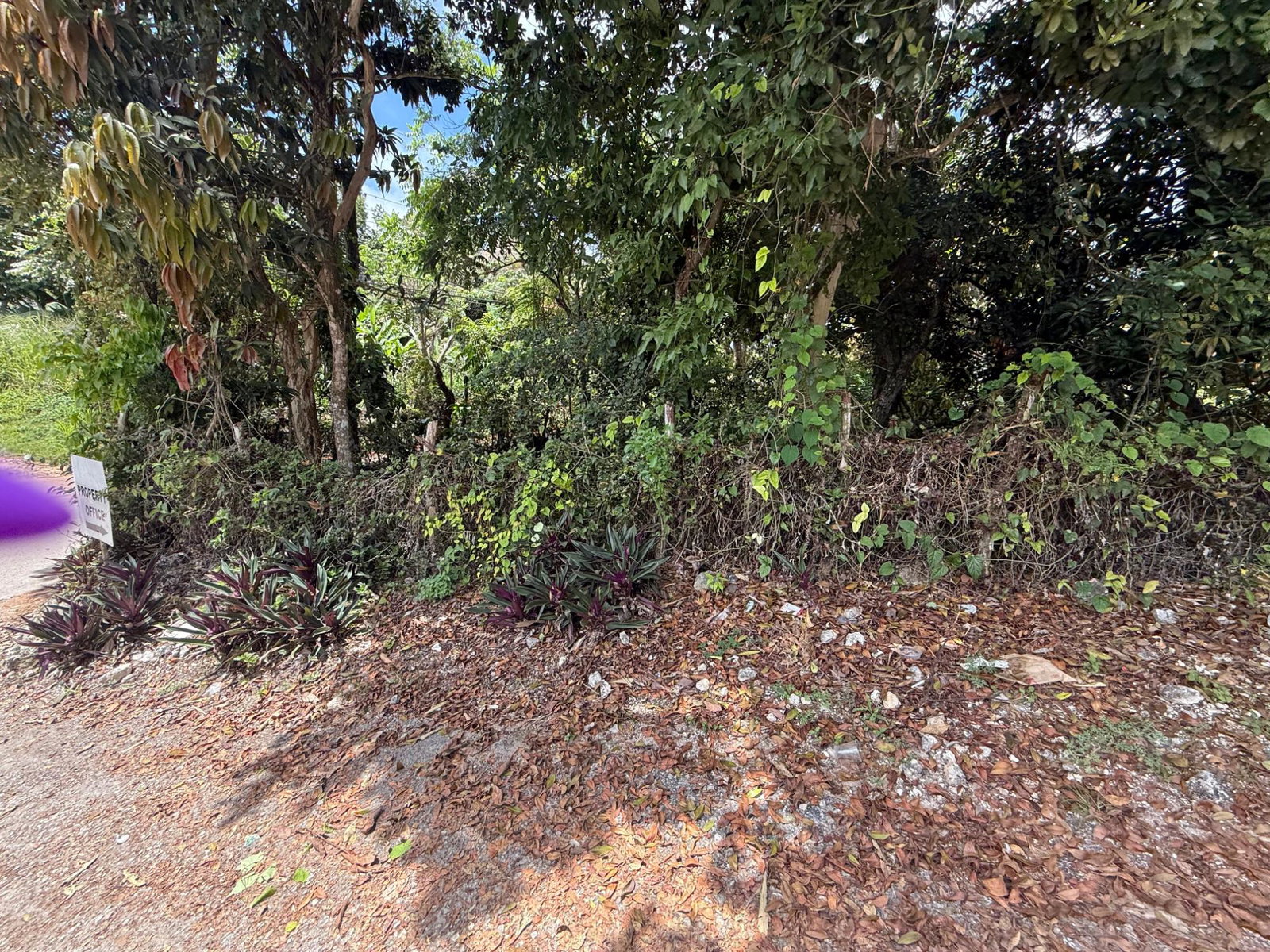 Sixth image of Lincoln Road in Browns Town, St. Ann, Jamaica - property is For Sale