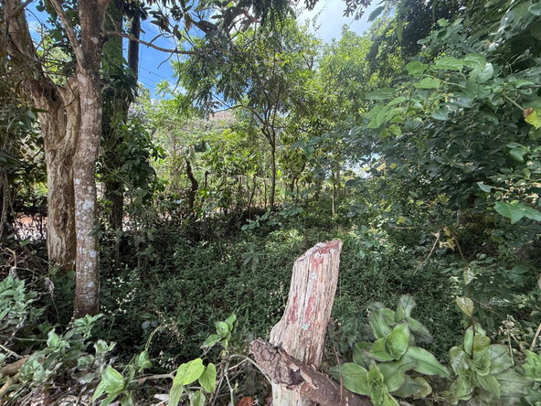 Seventh image of Lincoln Road in Browns Town, St. Ann, Jamaica - property is For Sale