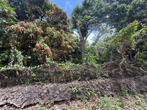 Ninth image of Lincoln Road in Browns Town, St. Ann, Jamaica - property is For Sale