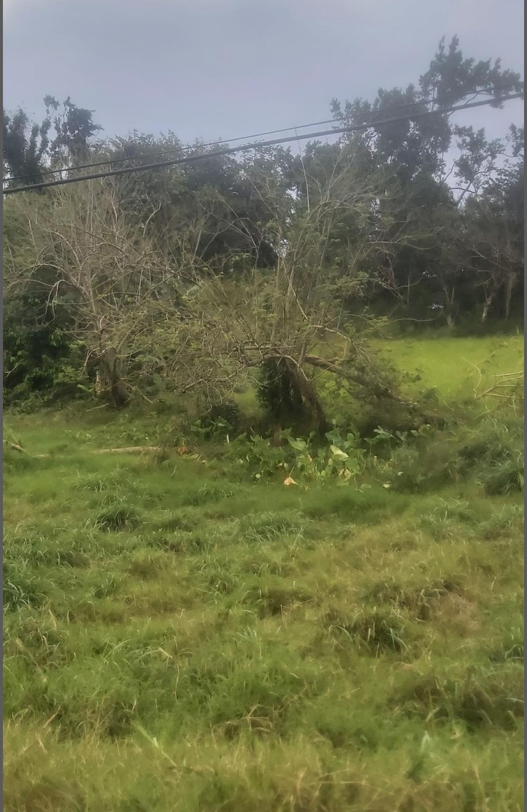 Residential-Lot-for-Sale-in-Brumalia-Mandeville-–-Prime-Real-Estate-Opportunity Second image of Mckinley Drive, Brumalia, in Mandeville, Manchester, Jamaica - property is For Sale