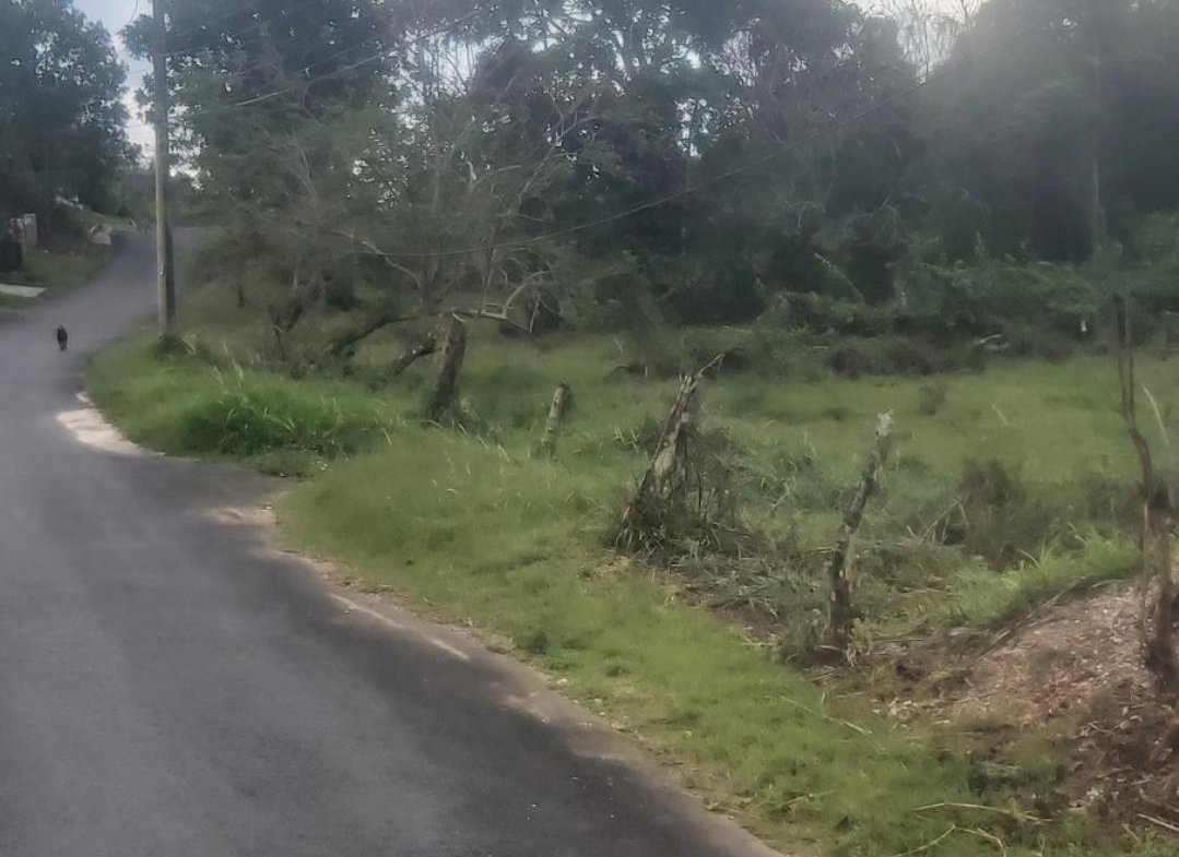 First image of Mckinley Drive, Brumalia, in Mandeville, Manchester, Jamaica - property is For Sale