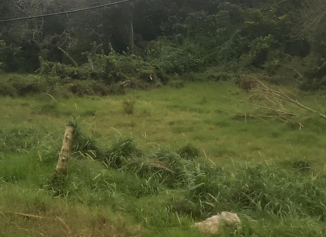 Third image of Mckinley Drive, Brumalia, in Mandeville, Manchester, Jamaica - property is For Sale