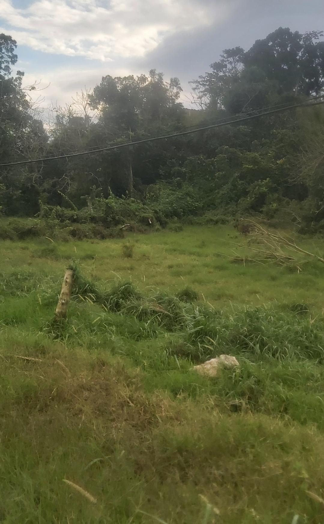 Residential-Lot-for-Sale-in-Brumalia-Mandeville-–-Prime-Real-Estate-Opportunity Third image of Mckinley Drive, Brumalia, in Mandeville, Manchester, Jamaica - property is For Sale