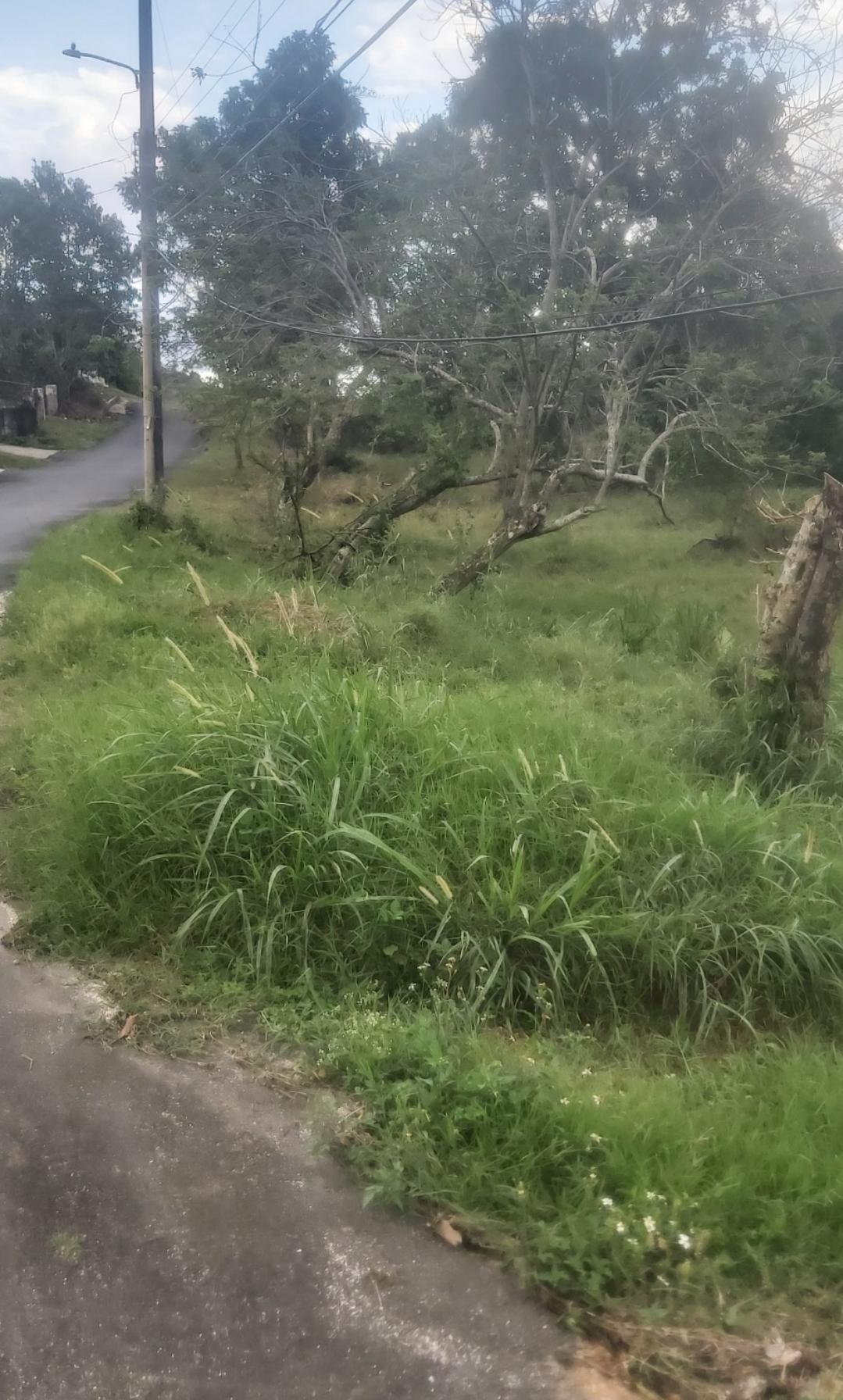 Residential-Lot-for-Sale-in-Brumalia-Mandeville-–-Prime-Real-Estate-Opportunity Fourth image of Mckinley Drive, Brumalia, in Mandeville, Manchester, Jamaica - property is For Sale