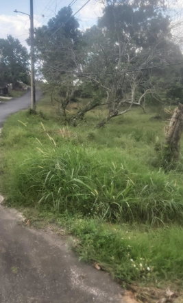 Fourth image of Mckinley Drive, Brumalia, in Mandeville, Manchester, Jamaica - property is For Sale