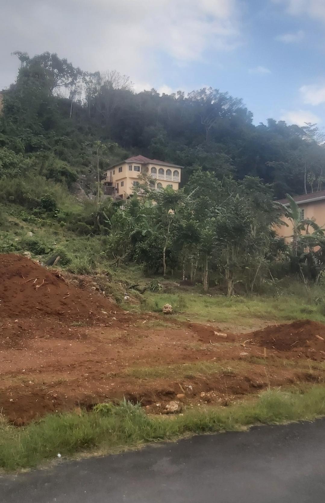 Residential-Lot-for-Sale-in-Brumalia-Mandeville-–-Prime-Real-Estate-Opportunity Fifth image of Mckinley Drive, Brumalia, in Mandeville, Manchester, Jamaica - property is For Sale