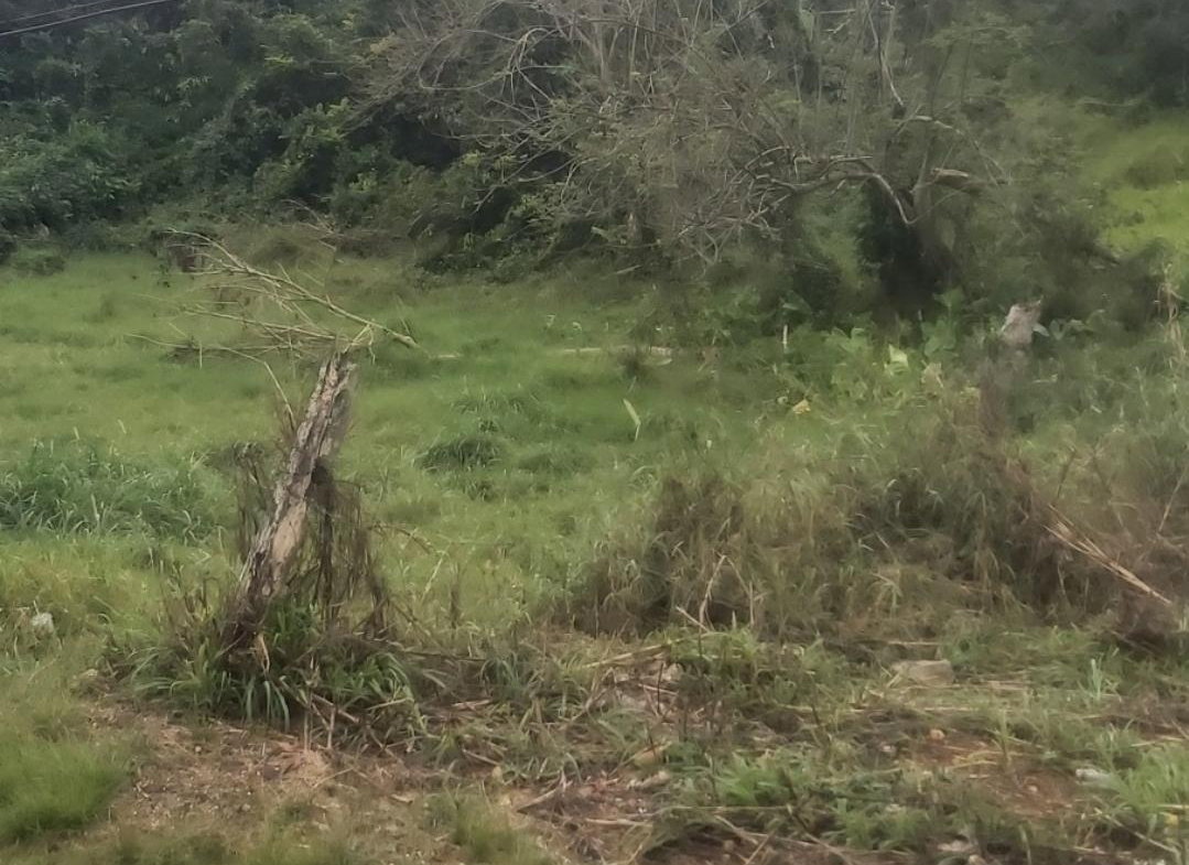 Sixth image of Mckinley Drive, Brumalia, in Mandeville, Manchester, Jamaica - property is For Sale