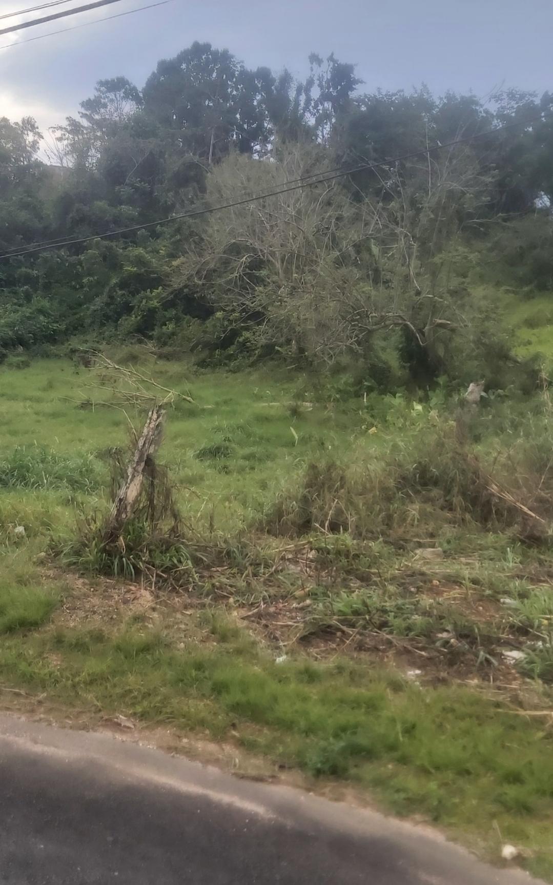 Residential-Lot-for-Sale-in-Brumalia-Mandeville-–-Prime-Real-Estate-Opportunity Sixth image of Mckinley Drive, Brumalia, in Mandeville, Manchester, Jamaica - property is For Sale