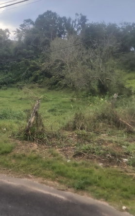 Sixth image of Mckinley Drive, Brumalia, in Mandeville, Manchester, Jamaica - property is For Sale