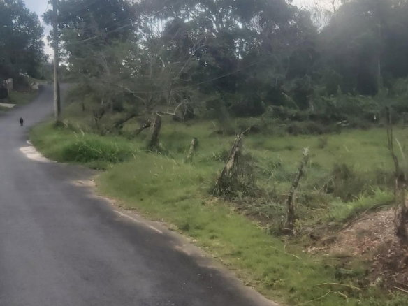 First image of Mckinley Drive, Brumalia, in Mandeville, Manchester, Jamaica - property is For Sale