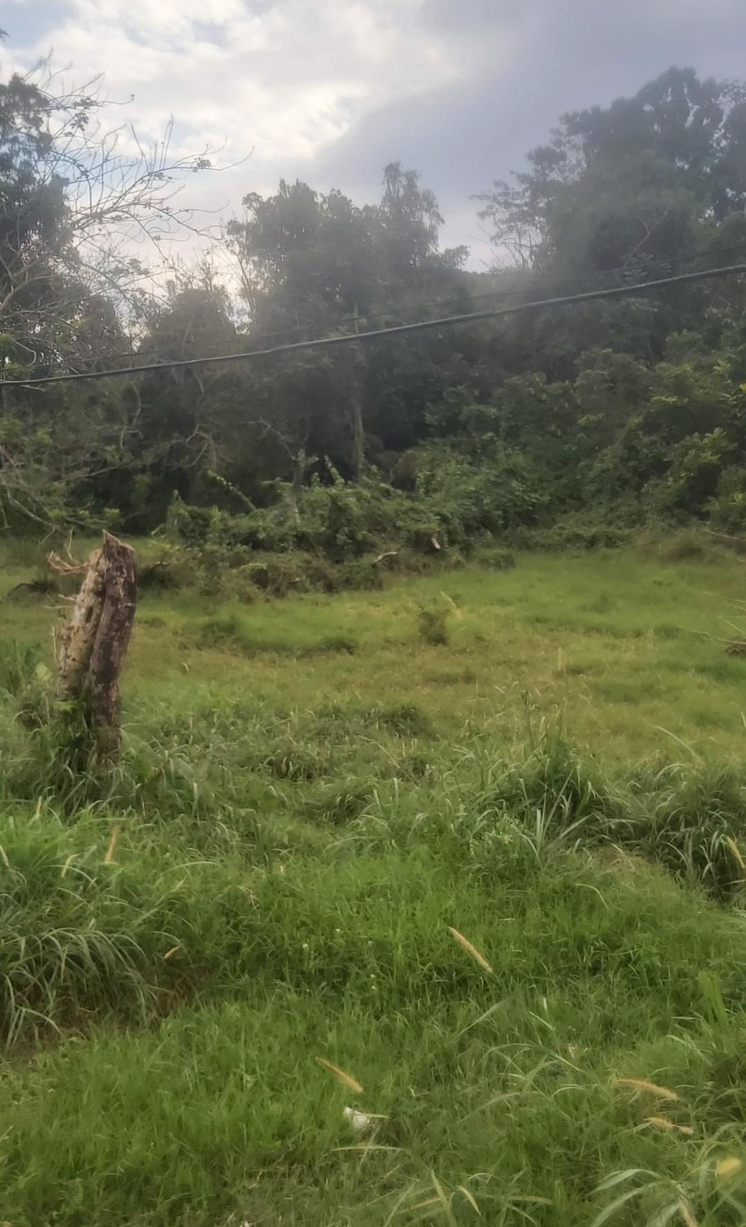 Residential-Lot-for-Sale-in-Brumalia-Mandeville-–-Prime-Real-Estate-Opportunity Seventh image of Mckinley Drive, Brumalia, in Mandeville, Manchester, Jamaica - property is For Sale