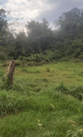 Seventh image of Mckinley Drive, Brumalia, in Mandeville, Manchester, Jamaica - property is For Sale