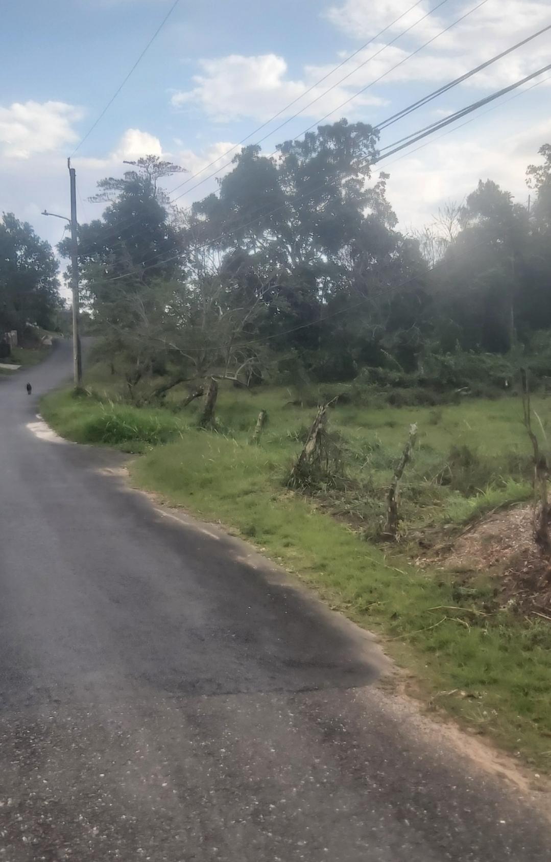 Residential-Lot-for-Sale-in-Brumalia-Mandeville-–-Prime-Real-Estate-Opportunity First image of Mckinley Drive, Brumalia, in Mandeville, Manchester, Jamaica - property is For Sale