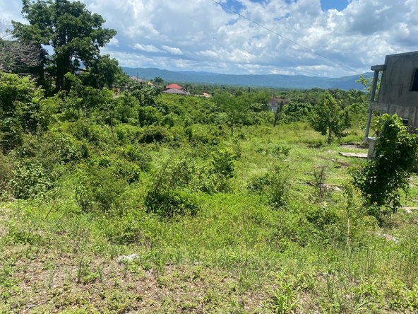 Second image of Bybrook Park, Santa Cruz in Santa Cruz, St. Elizabeth, Jamaica - property is For Sale