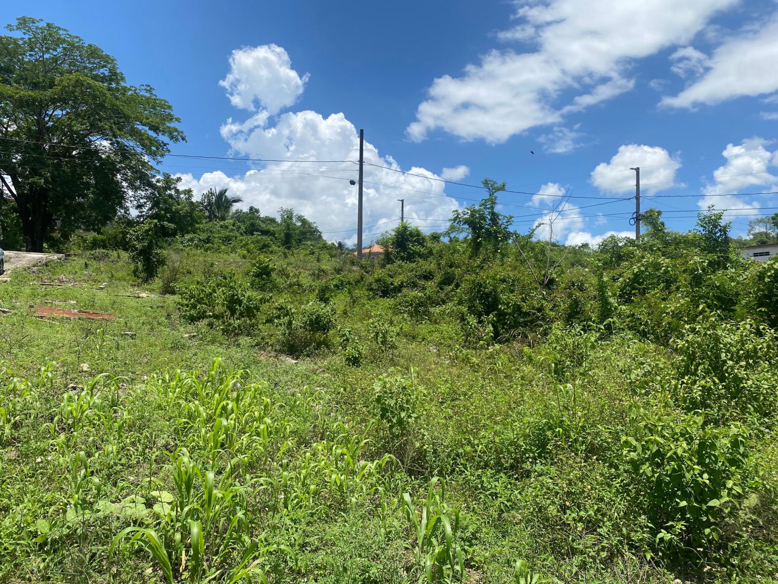 Sixth image of Bybrook Park, Santa Cruz in Santa Cruz, St. Elizabeth, Jamaica - property is For Sale