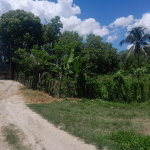 First image of Bybrook Called Longwood in Longwood, St. Elizabeth, Jamaica - property is For Sale