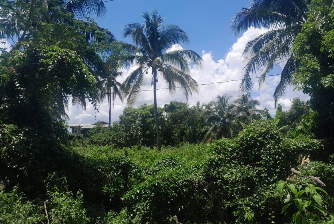 Fourth image of Bybrook Called Longwood in Longwood, St. Elizabeth, Jamaica - property is For Sale