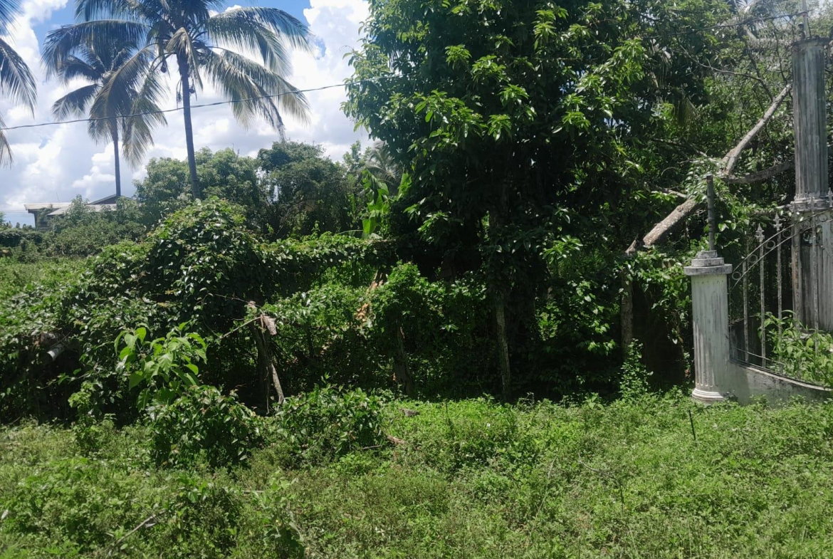 Fifth image of Bybrook Called Longwood in Longwood, St. Elizabeth, Jamaica - property is For Sale