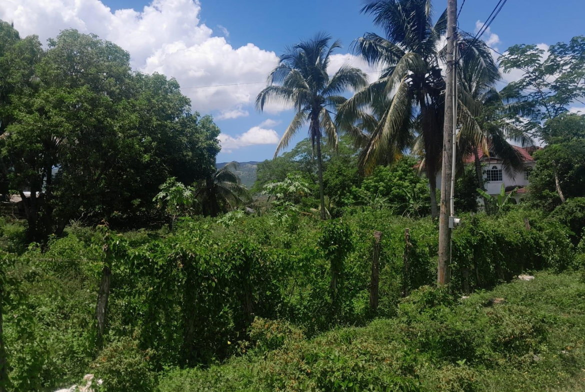 Sixth image of Bybrook Called Longwood in Longwood, St. Elizabeth, Jamaica - property is For Sale