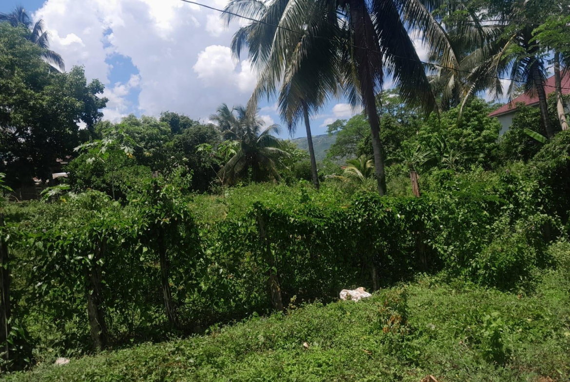 Seventh image of Bybrook Called Longwood in Longwood, St. Elizabeth, Jamaica - property is For Sale