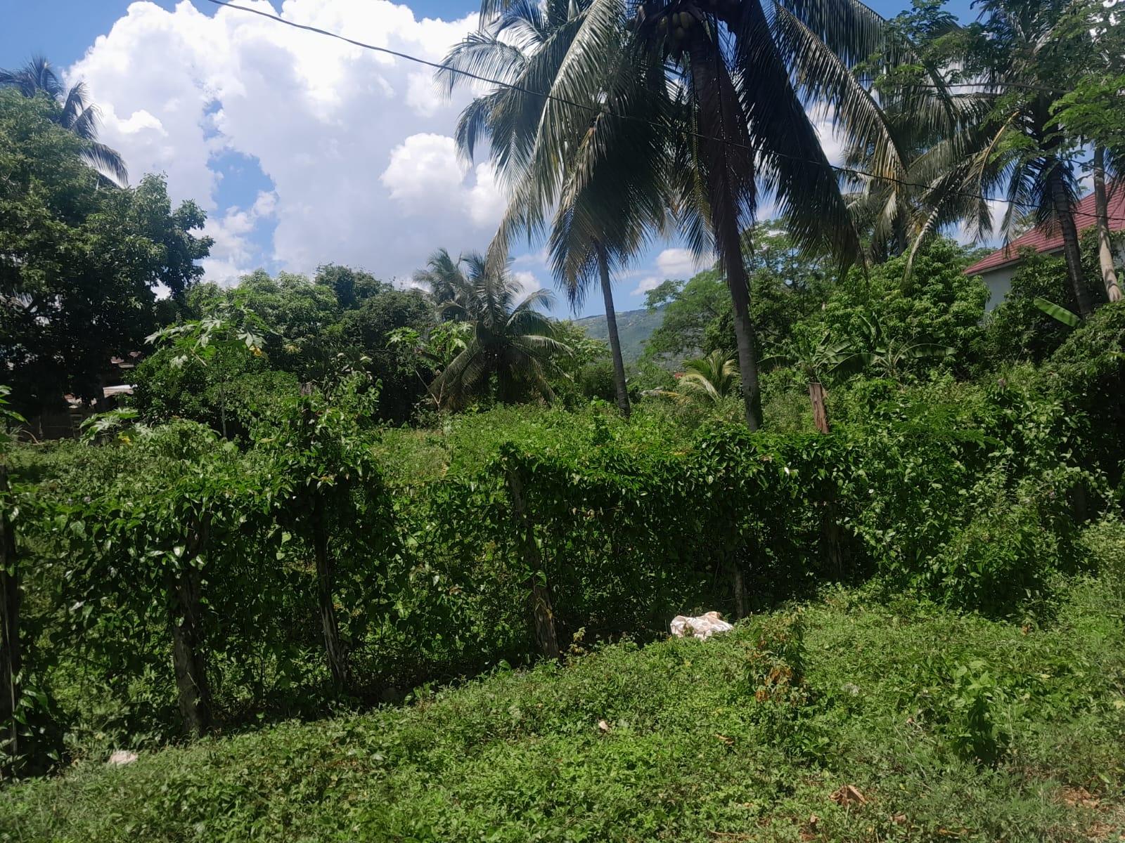 Seventh image of Bybrook Called Longwood in Longwood, St. Elizabeth, Jamaica - property is For Sale