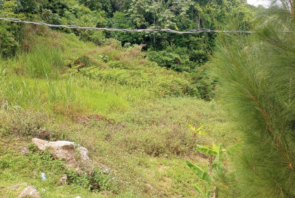 First image of Part of Chantilly Manches in Chantilly, Manchester, Jamaica - property is For Sale