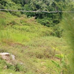 First image of Part of Chantilly Manches in Chantilly, Manchester, Jamaica - property is For Sale
