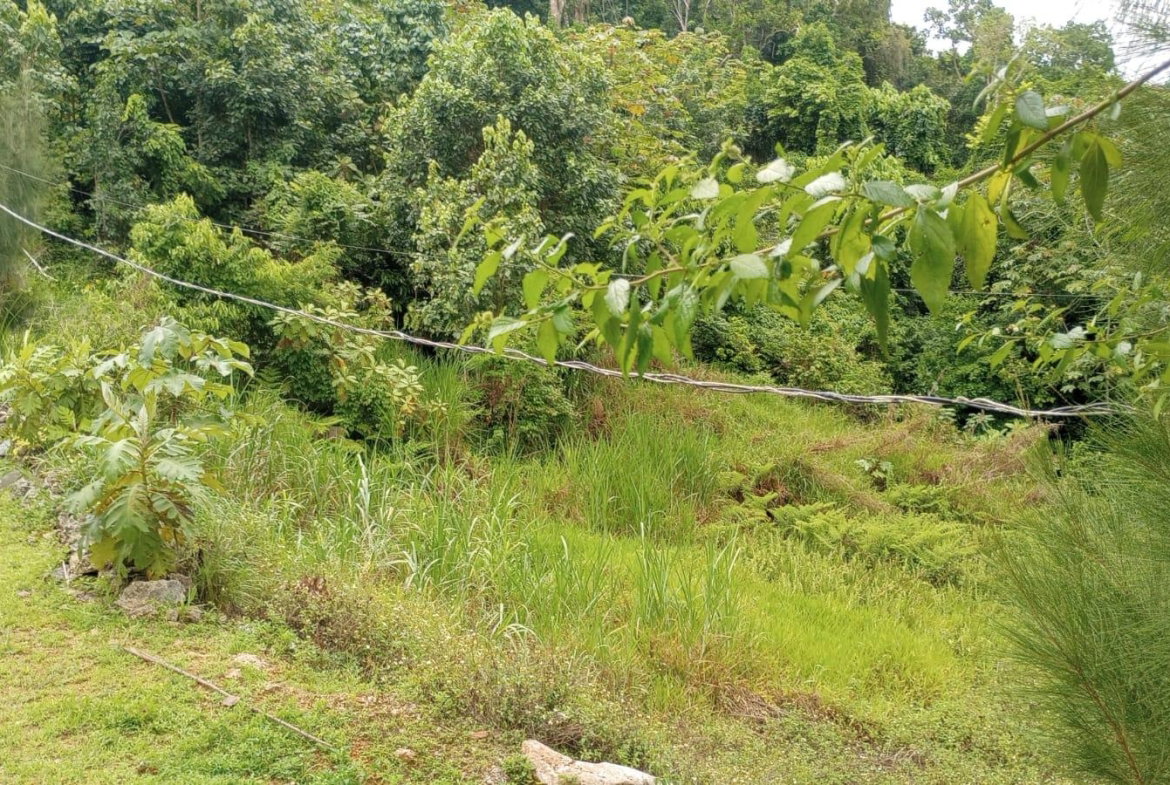 Fourth image of Part of Chantilly Manches in Chantilly, Manchester, Jamaica - property is For Sale