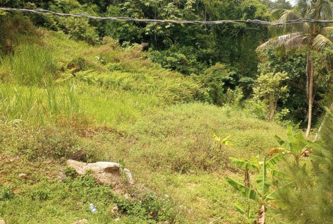 Fifth image of Part of Chantilly Manches in Chantilly, Manchester, Jamaica - property is For Sale