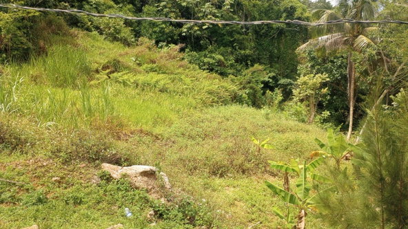 Fifth image of Part of Chantilly Manches in Chantilly, Manchester, Jamaica - property is For Sale