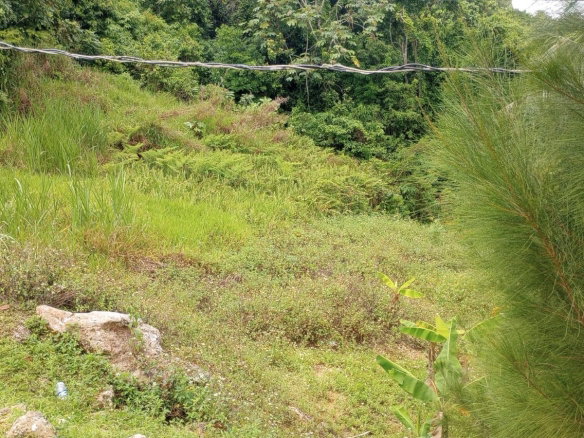 First image of Part of Chantilly Manches in Chantilly, Manchester, Jamaica - property is For Sale