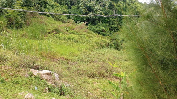 First image of Part of Chantilly Manches in Chantilly, Manchester, Jamaica - property is For Sale
