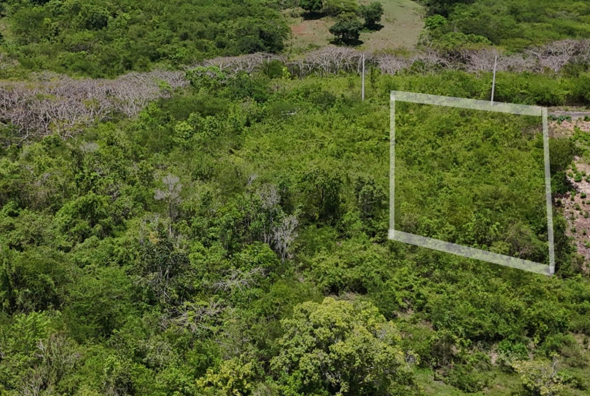 Fourth image of 8 Taylor Close in Birds Hill, Clarendon, Jamaica - property is For Sale