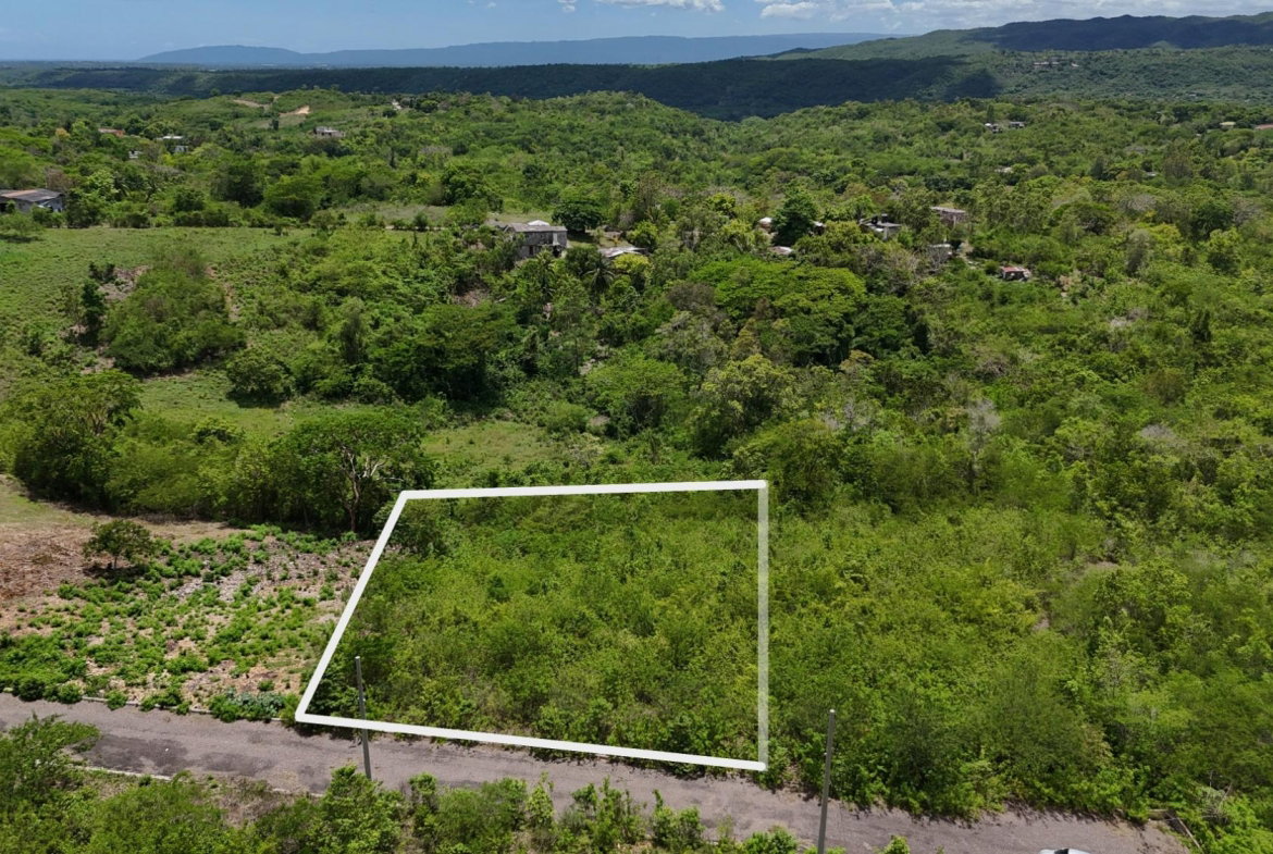 Ninth image of 8 Taylor Close in Birds Hill, Clarendon, Jamaica - property is For Sale