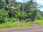 First image of 16 North Hall & Tanercky in Chandlers Pen, Clarendon, Jamaica - property is For Sale