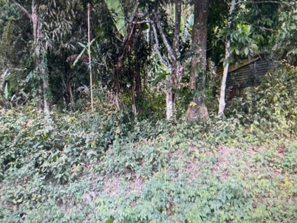 Third image of 87 Mount Hindmost in Chapleton, Clarendon, Jamaica - property is For Sale