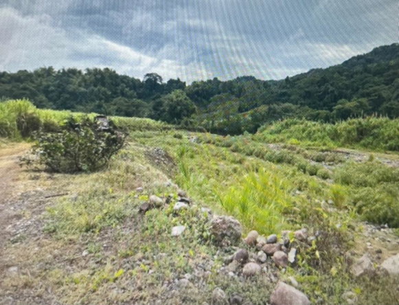 Fourth image of 87 Mount Hindmost in Chapleton, Clarendon, Jamaica - property is For Sale