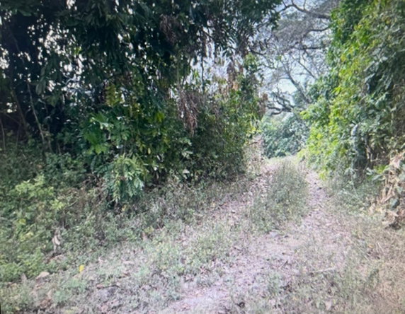 Fifth image of 87 Mount Hindmost in Chapleton, Clarendon, Jamaica - property is For Sale