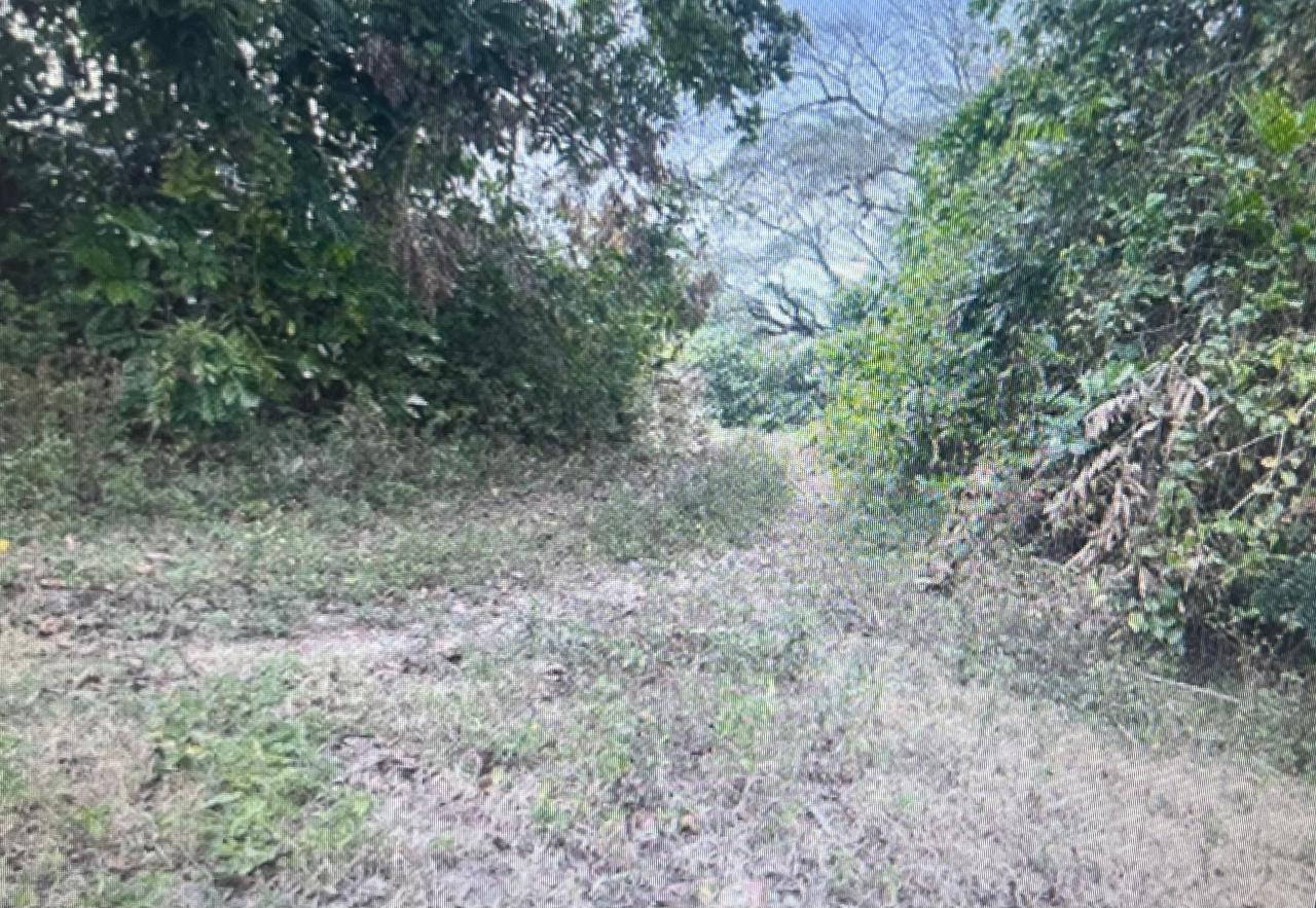 Sixth image of 87 Mount Hindmost in Chapleton, Clarendon, Jamaica - property is For Sale