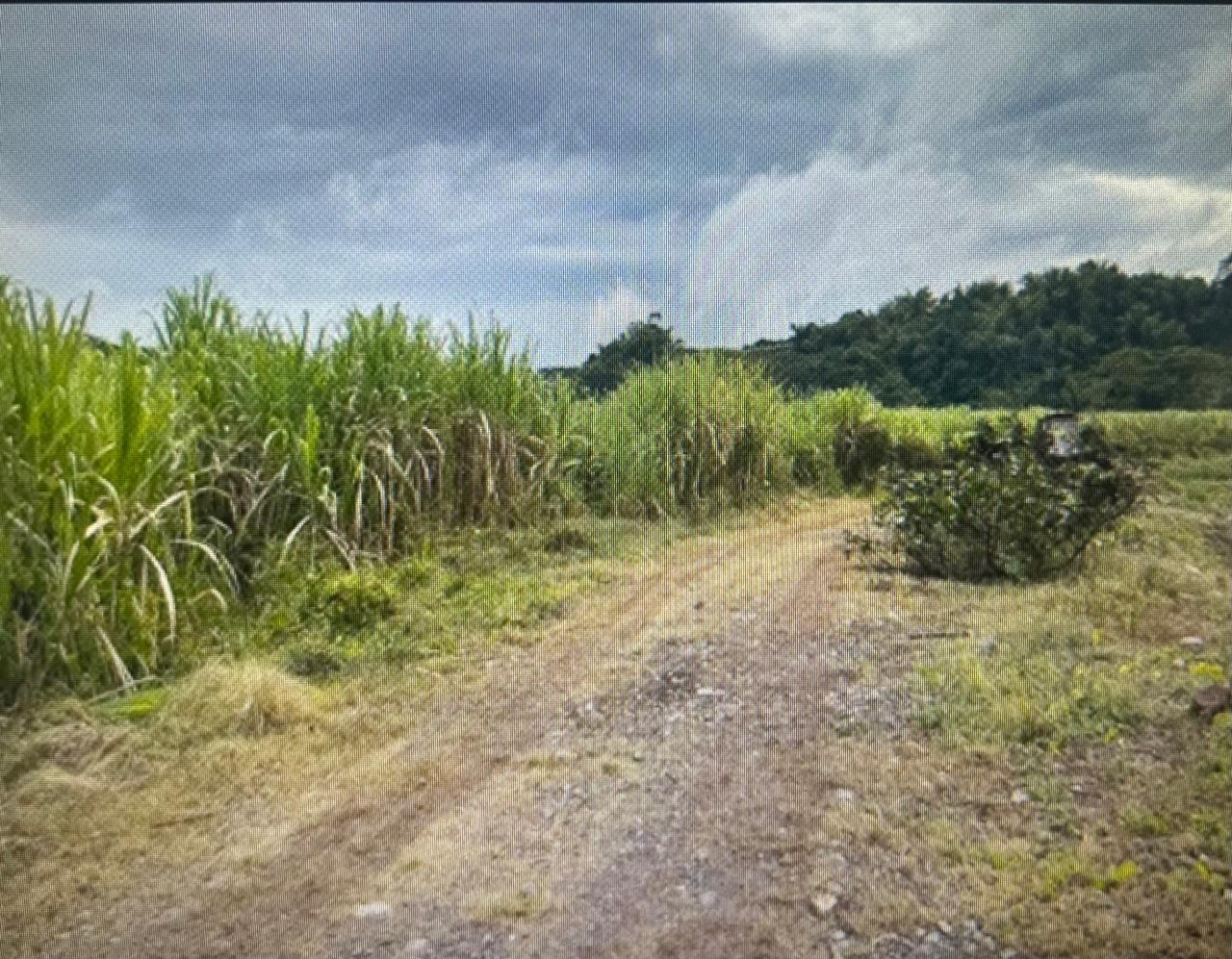Seventh image of 87 Mount Hindmost in Chapleton, Clarendon, Jamaica - property is For Sale
