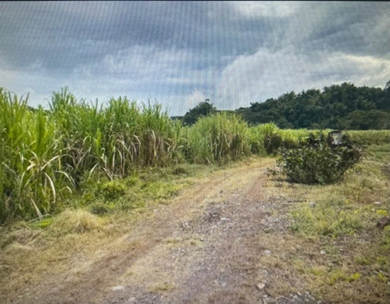 Seventh image of 87 Mount Hindmost in Chapleton, Clarendon, Jamaica - property is For Sale