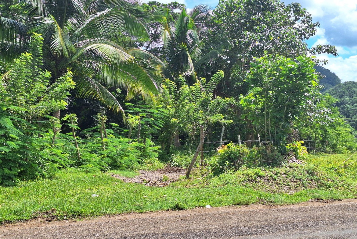 First image of 22 North Hall & Tanercky in Chandlers Pen, Clarendon, Jamaica - property is For Sale