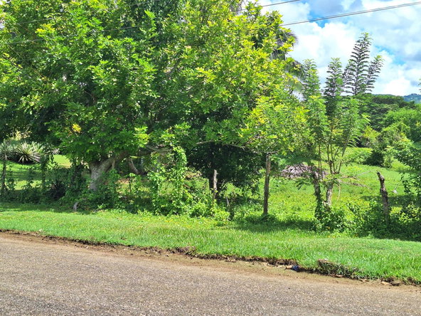 Second image of 22 North Hall & Tanercky in Chandlers Pen, Clarendon, Jamaica - property is For Sale