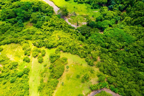 Fourth image of 27 North Hall & Tanercky in Chandlers Pen, Clarendon, Jamaica - property is For Sale