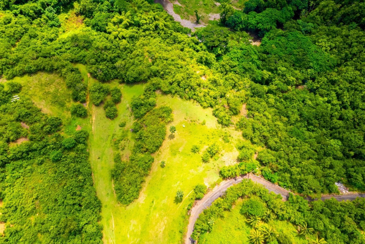 Fifth image of 27 North Hall & Tanercky in Chandlers Pen, Clarendon, Jamaica - property is For Sale
