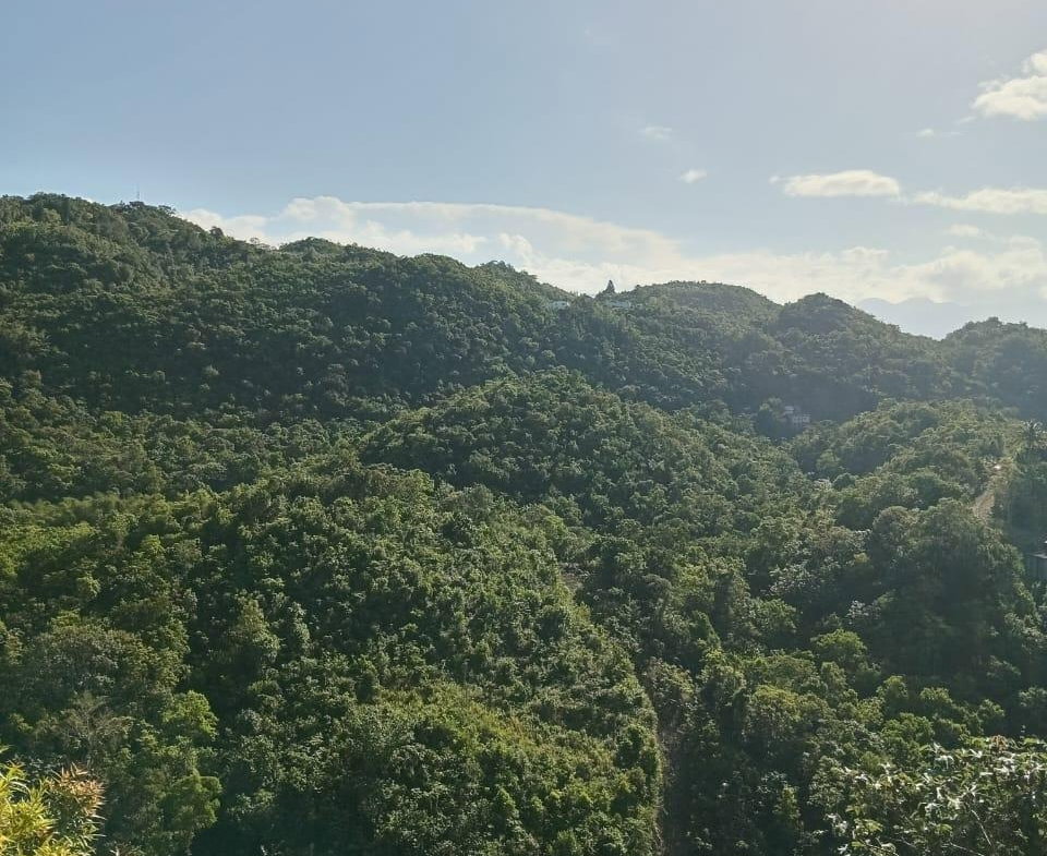 Third image of 8e Coopers Hill Heights in Red Hills, St. Andrew, Jamaica - property is For Sale